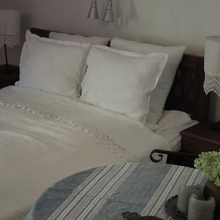 Darina Guest House 科普里夫什迪察 外观 照片