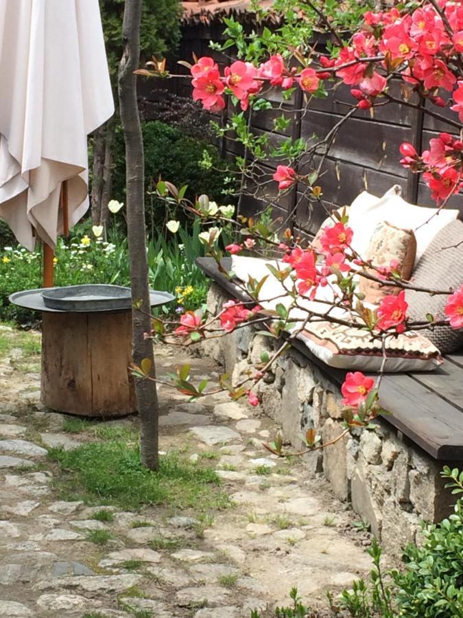 Darina Guest House 科普里夫什迪察 外观 照片